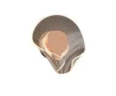 Бра французское золото Kink Light 08052,37 Эмина