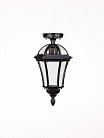 Потолочный светильник уличный Oasis Light 95205SA Bl ROMA S