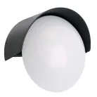 Светильник уличный светодиодный 9W 500Lm 3000/4000/6400К черный Feron 51962 DH511