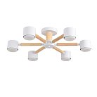 Потолочная люстра Lumion 8306/6C VUDI