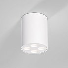 потолочный акцентный светильник Elektrostandard 25111/LED Points a067483