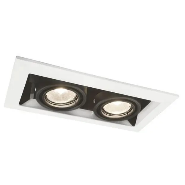 Встраиваемый светильник Arte Lamp A5931PL-2WH CARDANI PICCOLO Встраиваемый светильник Arte Lamp A5931PL-2WH CARDANI PICCOLO