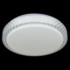 Потолочный светильник Reluce 97196-9.2-48WM
