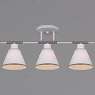 Потолочная люстра Reluce 07594-0.3-03 WG
