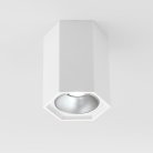 Накладной светильник Elektrostandard 25036/LED белый матовый/серебро a055856