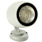 Светодиодный светильник ландшафтно-архитектурный  Feron 51771 LL-600 85-265V 10W 2700K IP65