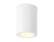 Накладной светильник Ambrella light TN22797 Techno Spot