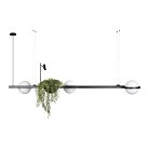 Подвесной светильник Loft IT 10121/C Jardin