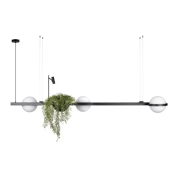 Подвесной светильник Loft IT 10121/C Jardin