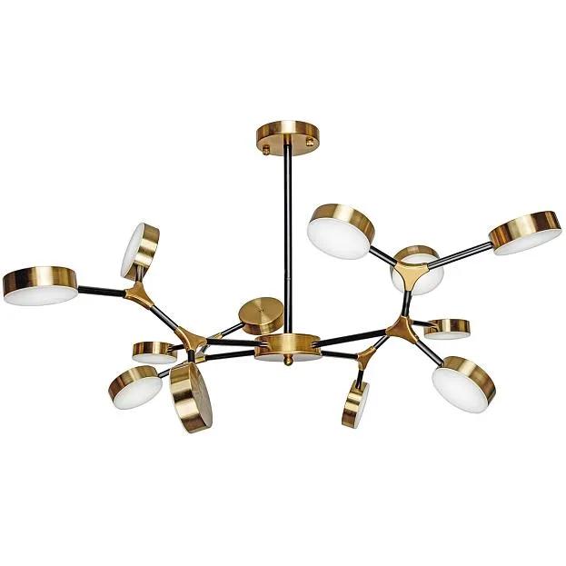 Потолочный светильник Escada 10239/12LED