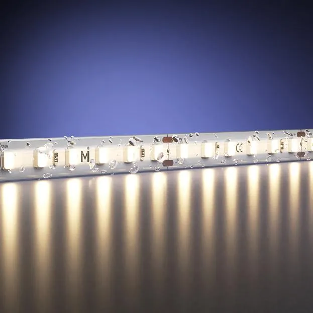 Светодиодная лента Led Strip Maytoni 201212 Базовая светодиодная лента Светодиодная лента Led Strip Maytoni 201212 Базовая светодиодная лента