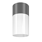 Уличный потолочный светильник Maytoni O418CL-01GR Willis