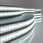 Светодиодная лента Elektrostandard 2835 240Led 24W IP20 6500K холодный белый a050176