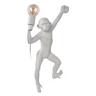 Настенный светильник Loft IT 10314W/A Monkey