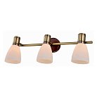 Спот Toplight TL3720Y-03BB Sharyl