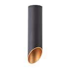 Светильник Потолочный Arte Lamp A1535PL-1BK PILON-GOLD