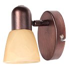 Спот Toplight TL1235Y-01AB Maxine