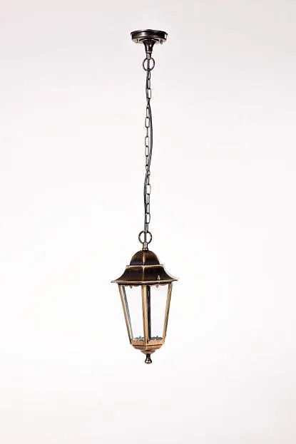 Уличный светильник подвесной Oasis Light 79805M Gb Уличный светильник подвесной Oasis Light 79805M Gb