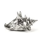 Статуэтка Wundekammer Shell Seletti 10894