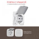 Розетка Arte Milano 205.41-1.silver am