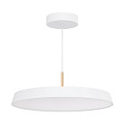 Светильник подвесной Arlight 033925(1)