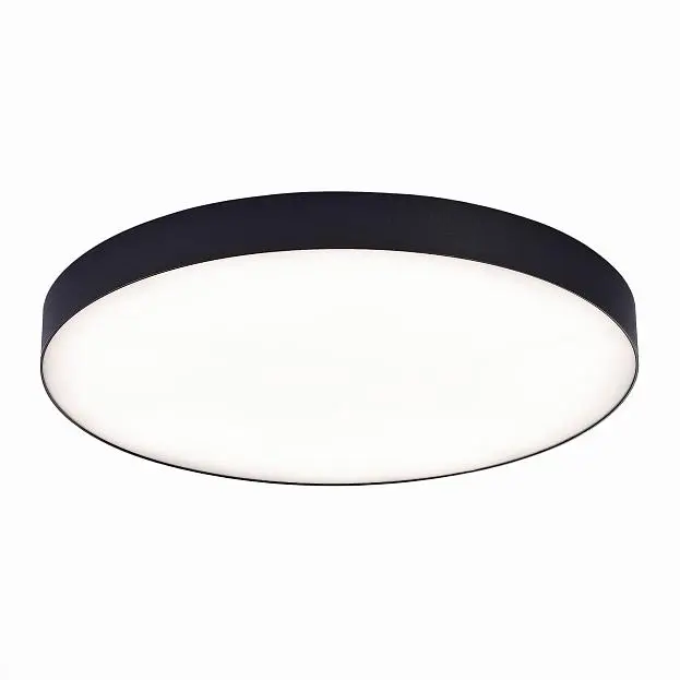 Потолочный светильник ST Luce ST606.442.96 Потолочный светильник ST Luce ST606.442.96