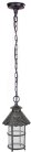 Уличный светильник подвесной Oasis Light 81505 R CAIOR 1