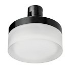 Светильник 48V 6W 740LM 120G ЧЕРНЫЙ 4000K Lightstar 210647 Due Hermes