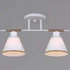 Потолочная люстра Reluce 07594-0.3-02 WG