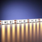 Светодиодная лента Led Strip Maytoni 201105
