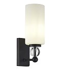 Светильник настенный ST-Luce SL2003.401.01 AURORA