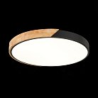 Светильник потолочный Evoluce SLE200942-01 FESTA