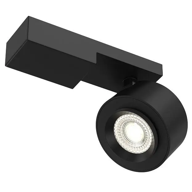 Потолочный светильник Maytoni C062CL-L12B3K Treo