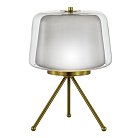 Светильник настольный ST-Luce SL6127.314.01 PANDORA