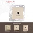 Розетка TV Arte Milano 203.43-1.shampan am