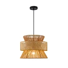 Подвес  Favourite 4770-1P Organicum