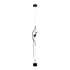 Подвесной светильник LOFT IT 10346/1 Black Parentesi