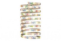 Светодиодная лента Paulmann 70602 DECO Stripe