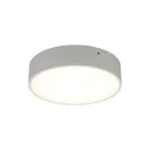 Светильник настенно-потолочный Aployt APL.0113.09.18 Evon