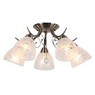 Люстра потолочная Omnilux OML-53807-05 Casagliana