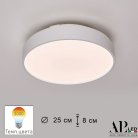 Потолочный светильник APL LED 3315.XM302-1-267/12W/3K White Toscana
