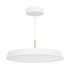 Светильник подвесной Arlight 033925(1)
