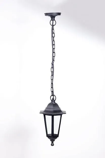 Уличный светильник подвесной Oasis Light PL 79805P Bl PETERSBURG