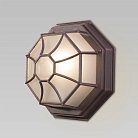 Уличный настенный светильник Elektrostandard GL 1024D a043660 Telarana