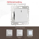 Переключатель одноклавишный перекрёстный с подсветкой, 10AX 250V Arte Milano 203.35-1.silver am