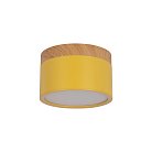 Накладной светильник Loft IT 10162 Yellow Grape