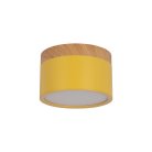 Накладной светильник Loft IT 10162 Yellow Grape