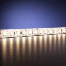 Светодиодная лента Led Strip Maytoni 201042