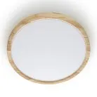 LED Светильник накладной Клён Citilux Бейсик CL738242V