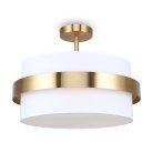 Потолочный светильник Freya FR5367CL-03BS Bride